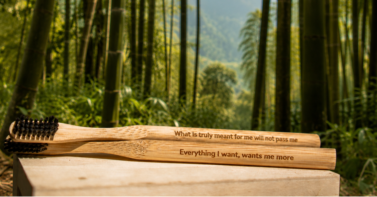Two engraved Toothily bamboo toothbrushes resting on a wooden block in a bamboo forest